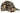 Port Authority ®  Camouflage Cap.  C851
