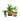 Heritage Supply™ Plant, Grow and Store Trio of Pots - Dune | Custom Branded | Lemon Print