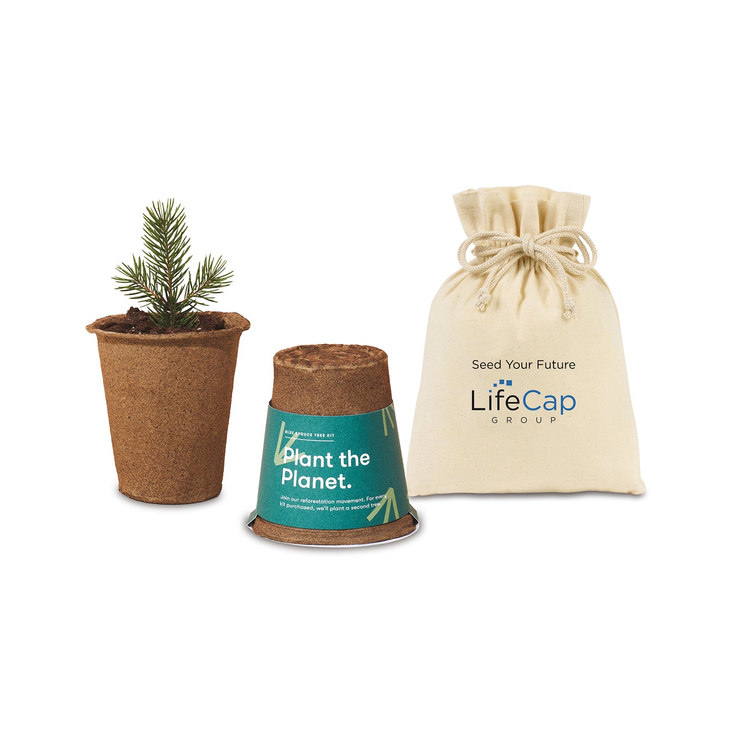Modern Sprout® One For One Tree Kits - Spruce | Custom Branded | Lemon Print