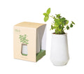 Modern Sprout Tapered Tumbler Grow Kit