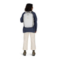 Osprey Arcane™ Earth Large Day Backpack