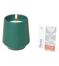 Modern Sprout® Rooted Candle