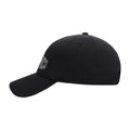 Ahead Largo Cap