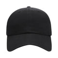 Ahead Largo Cap