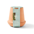 Modern Sprout® Modern Terracotta Grow Kit Aloe