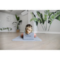 Restore 6mm Yoga Mat