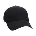 Ahead Largo Cap