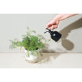 Modern Sprout® Plant Parent Mister